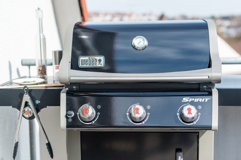 Can You Convert A Weber Natural Gas Grill to A Propane Grill? Pastime