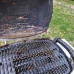 Why Weber Grill Cracks?