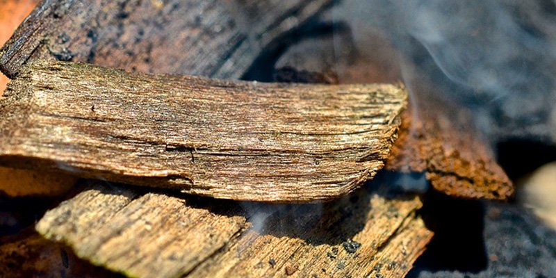 Best Wood For Smoking Meat