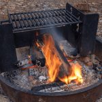 Can You Use Wood Chips in a Traeger Grill?