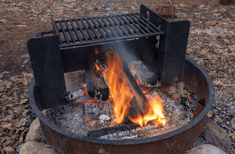 Can You Use Wood Chips in a Traeger Grill?