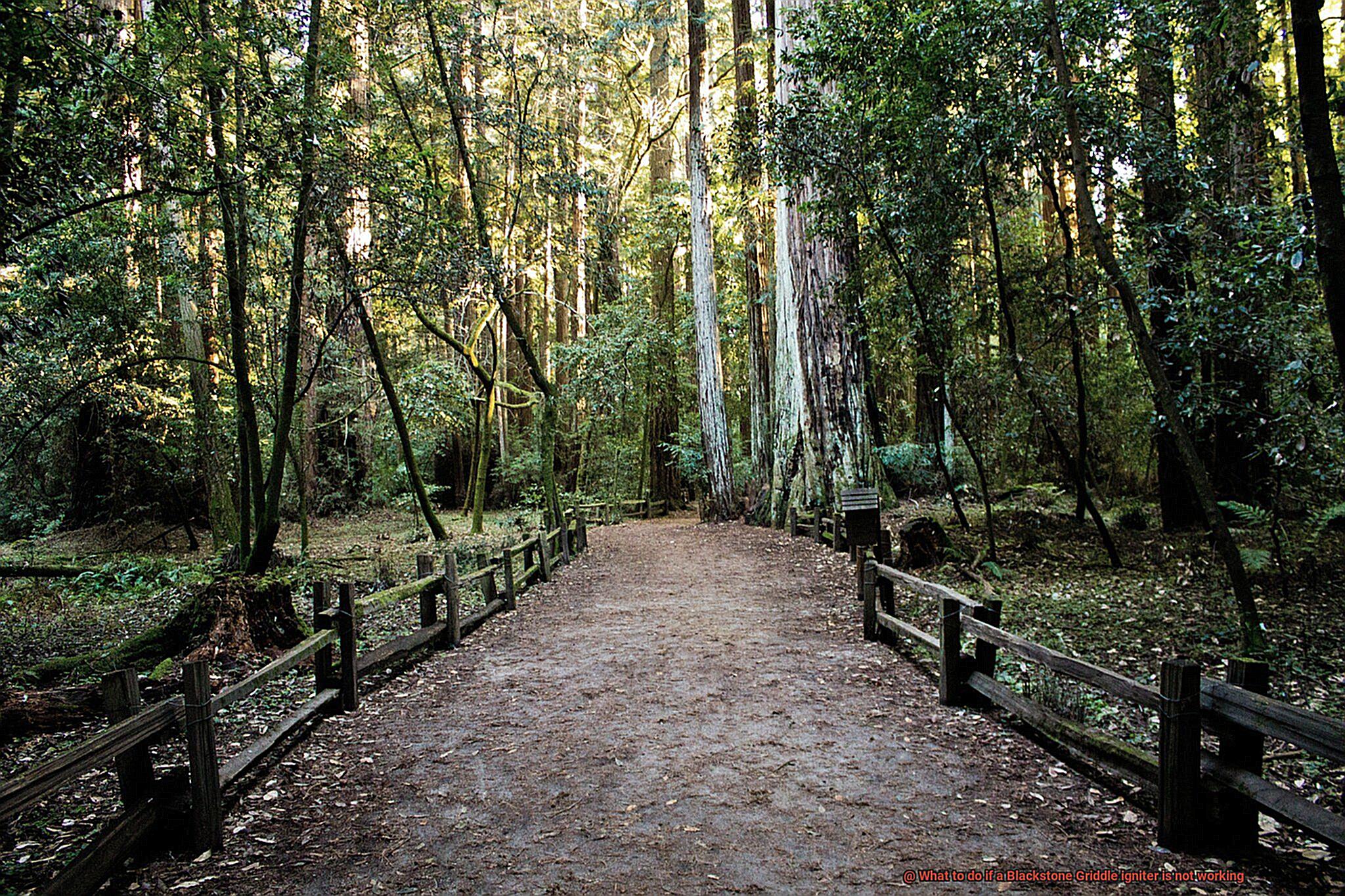 What to do if a Blackstone Griddle igniter is not working? Pastime