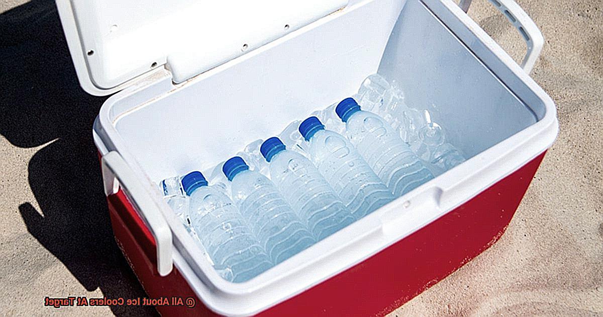 All About Ice Coolers At Target-3