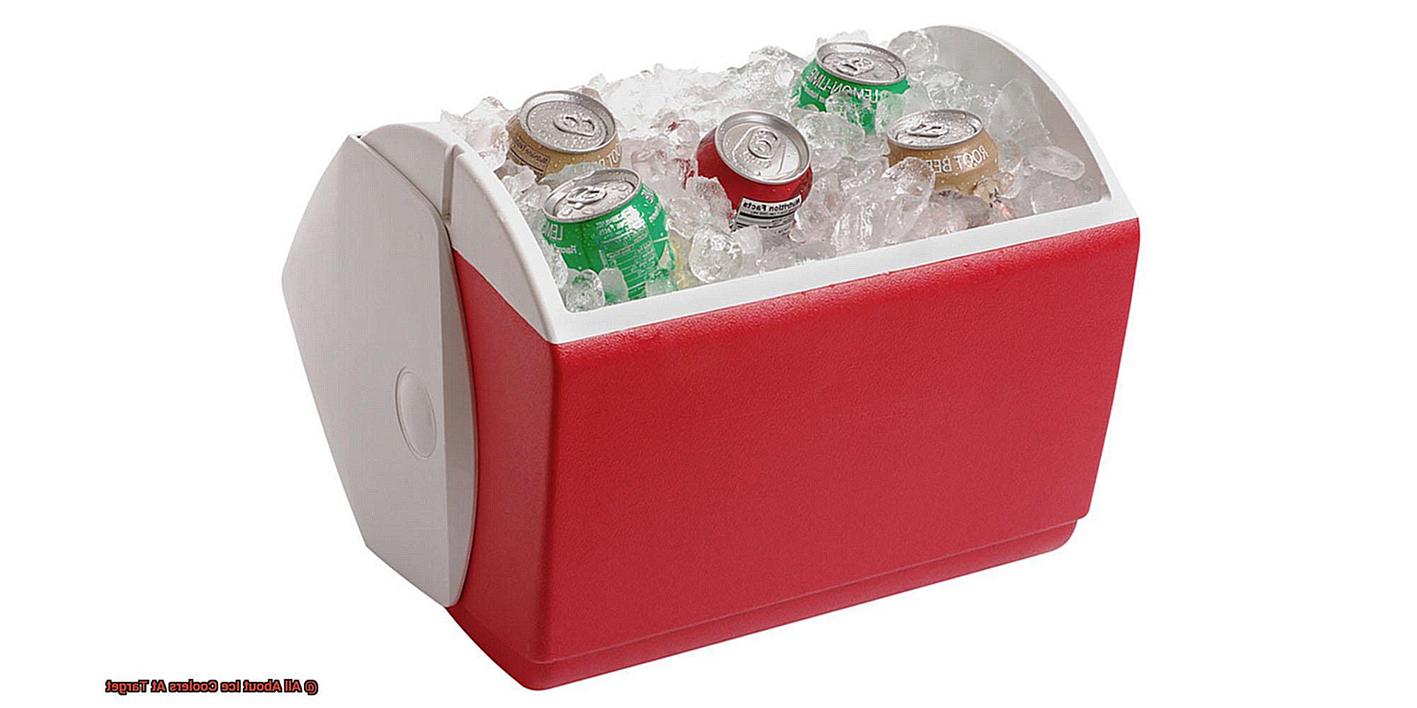 All About Ice Coolers At Target-2