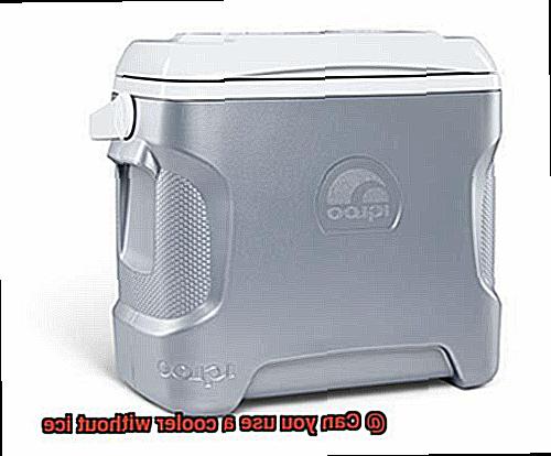 Can you use a cooler without ice-6