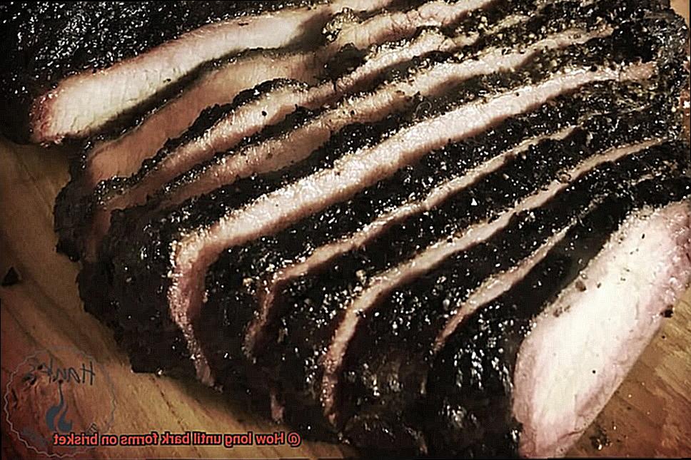 How long until bark forms on brisket-4