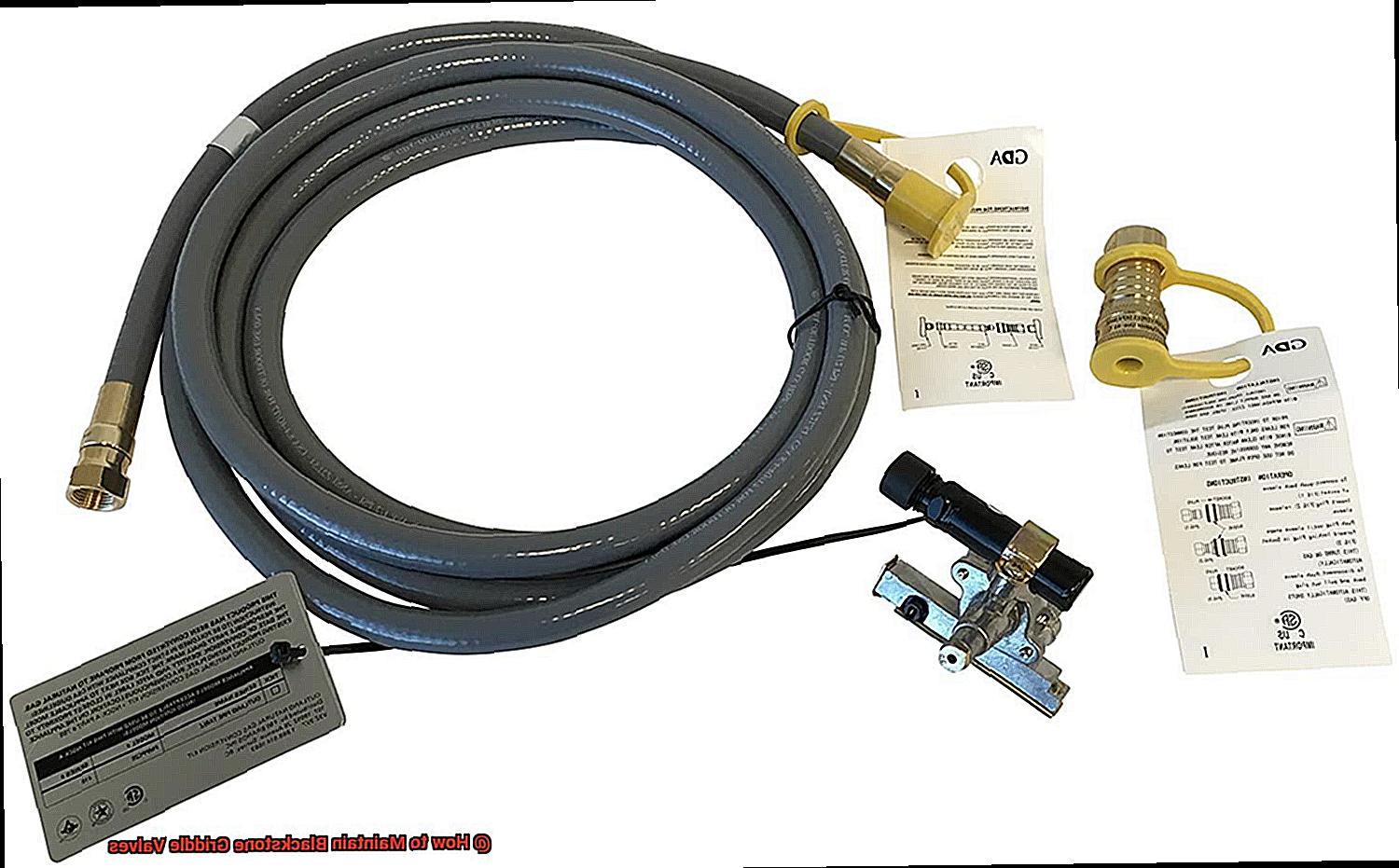 How to Maintain Blackstone Griddle Valves? Pastime Bar And Grill