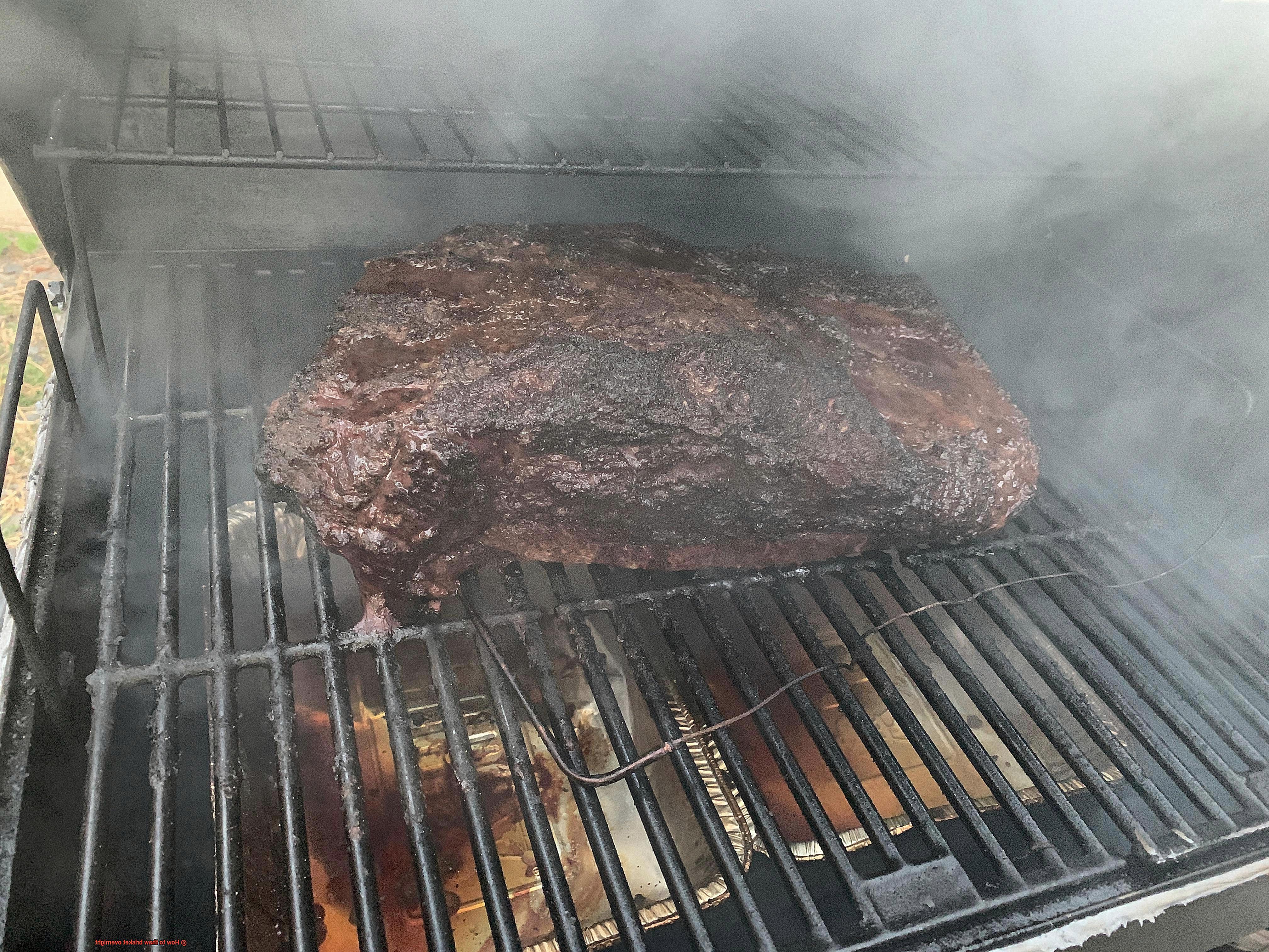 How to thaw brisket overnight-3