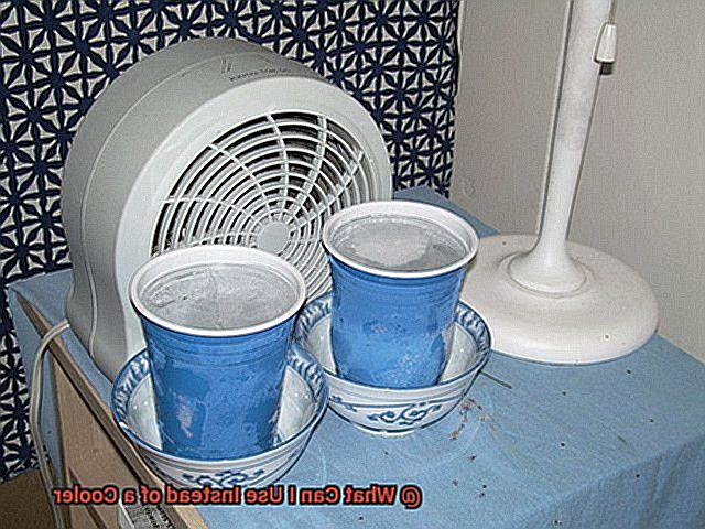 What Can I Use Instead of a Cooler-3