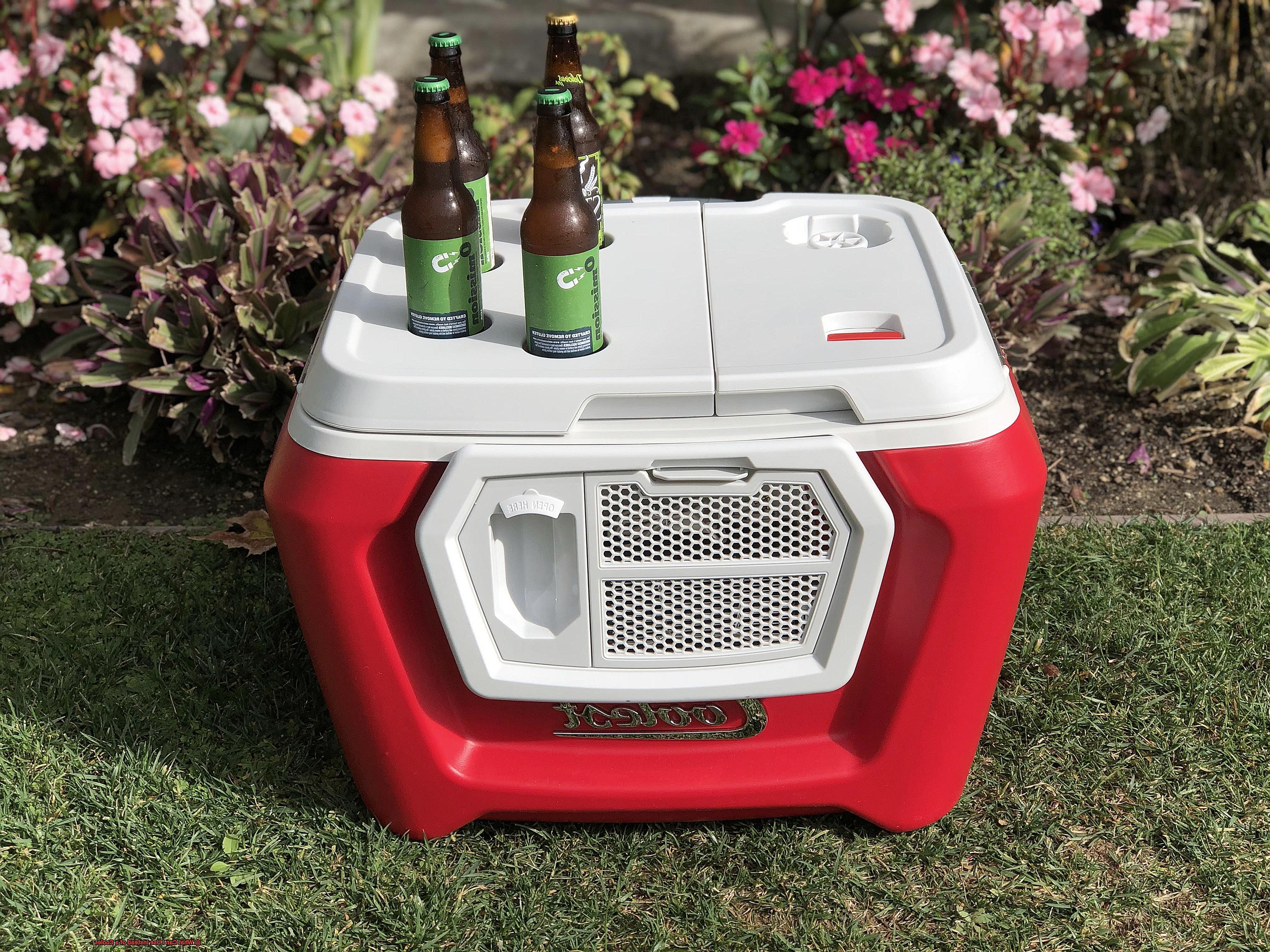 What Can I Use Instead of a Cooler-2