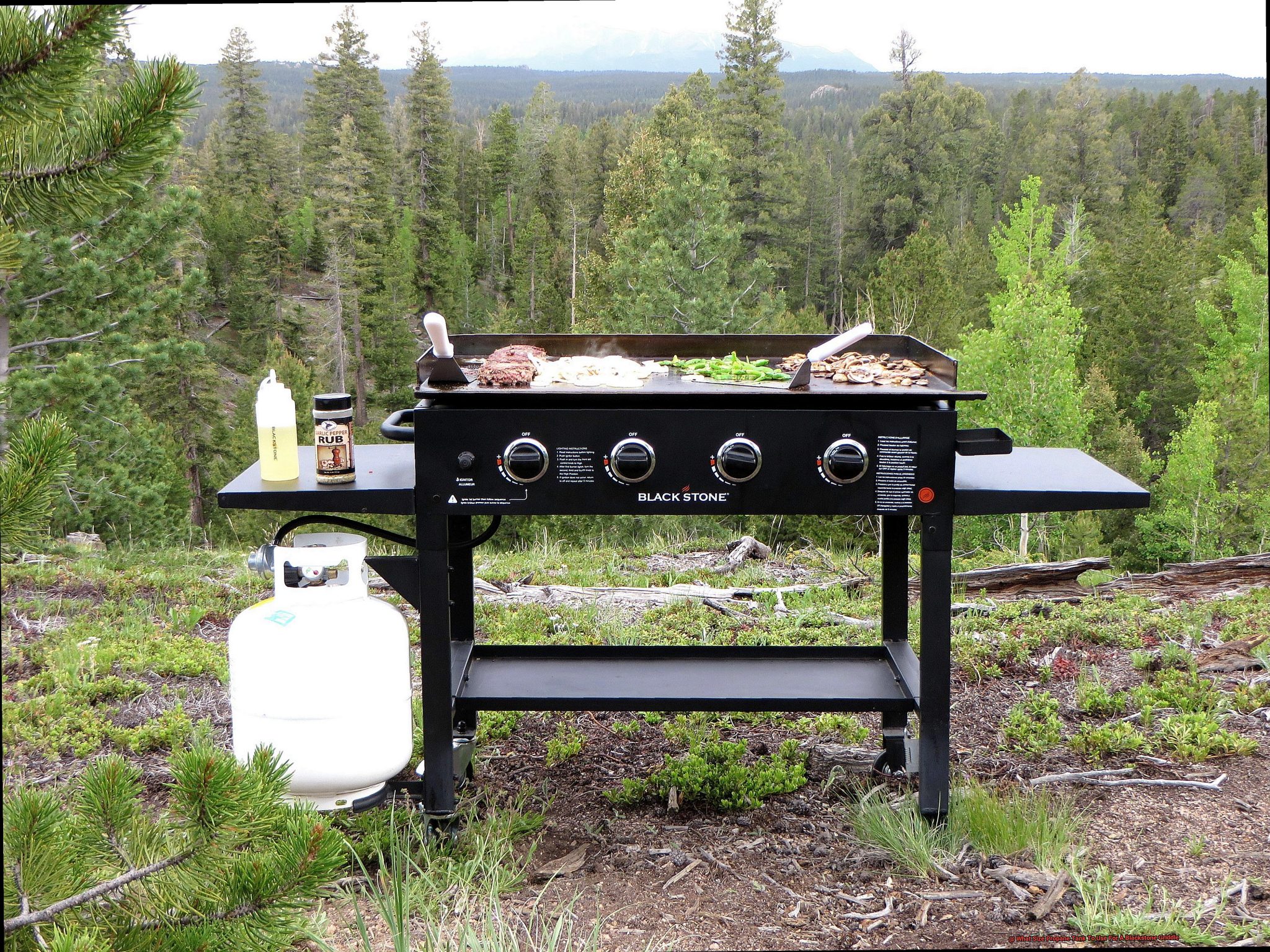 What Size Propane Tank To Use For A Blackstone Griddle? Pastime Bar