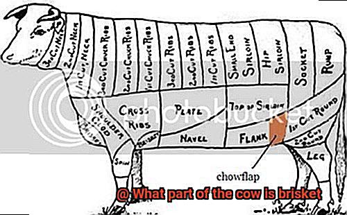 What part of the cow is brisket-3