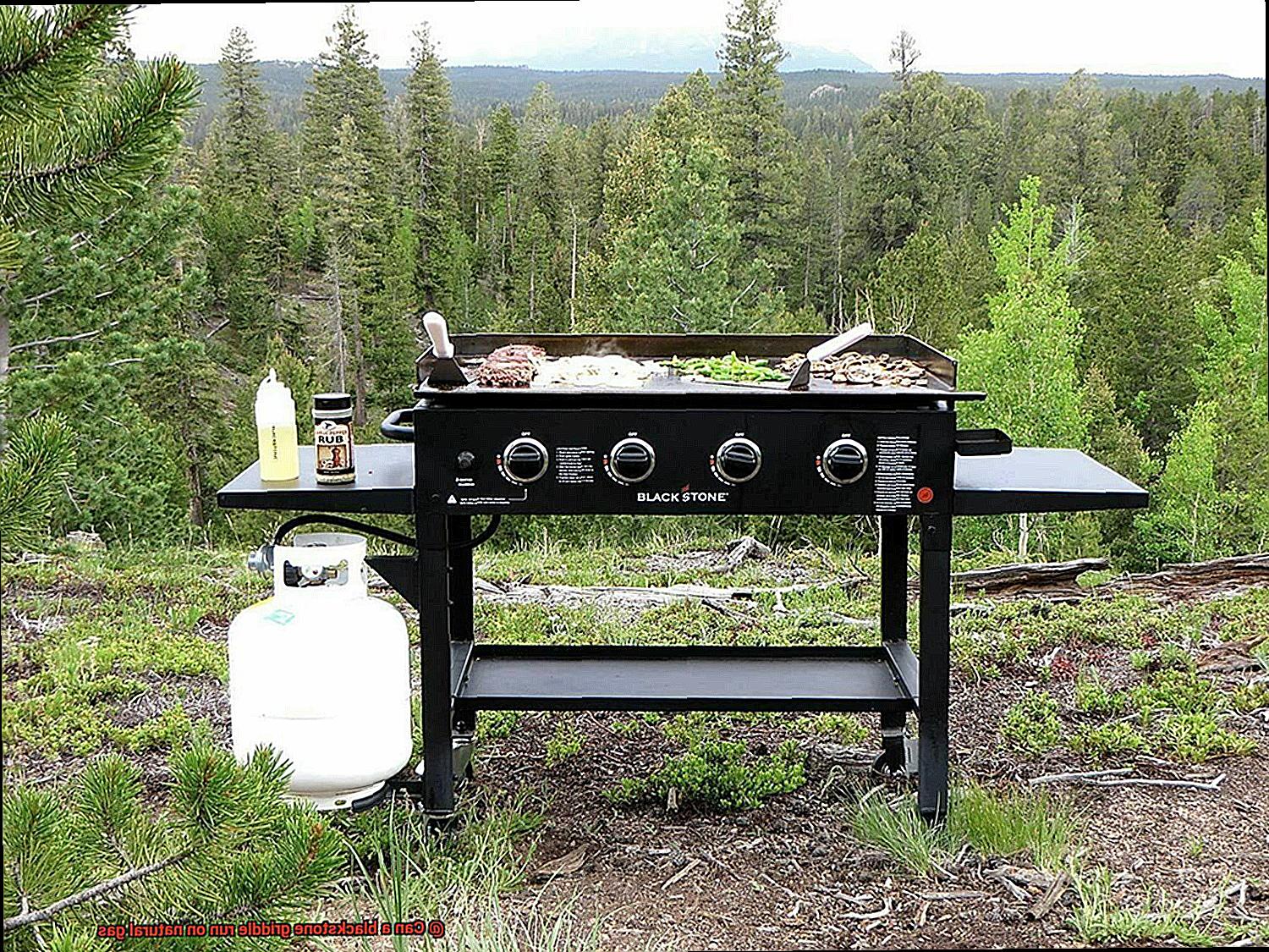 Can a blackstone griddle run on natural gas? Pastime Bar And Grill