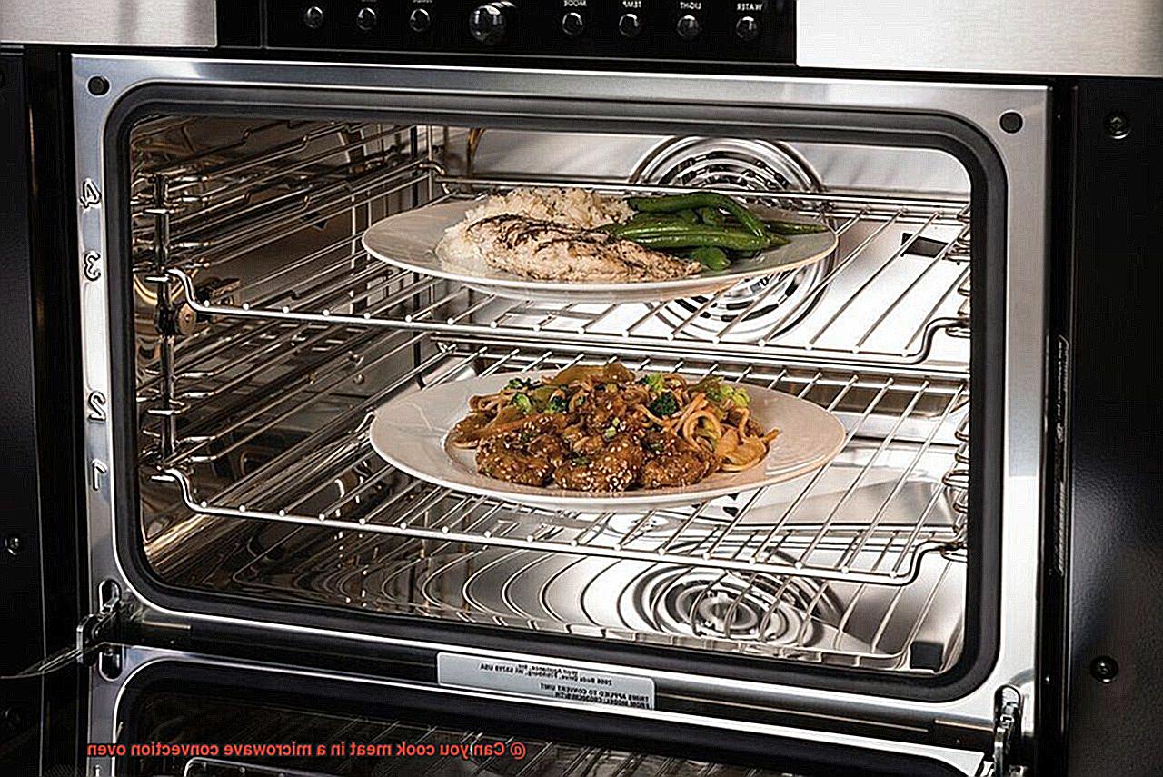 Can you cook meat in a microwave convection oven-4