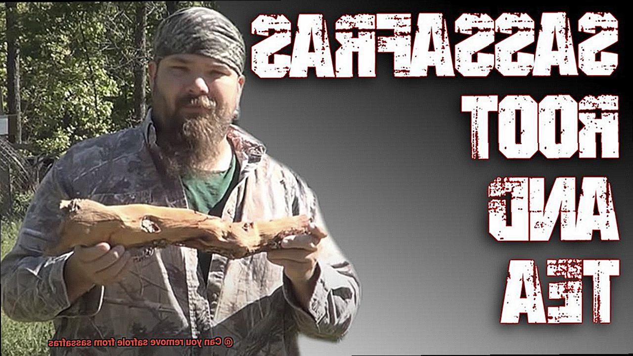 Can you remove safrole from sassafras? Pastime Bar And Grill