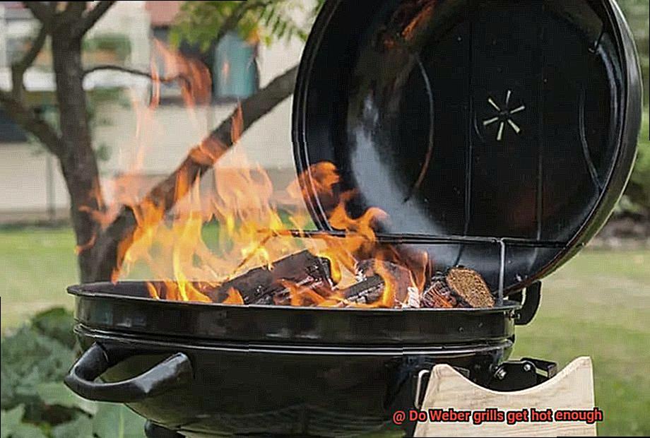 Do Weber grills get hot enough-5