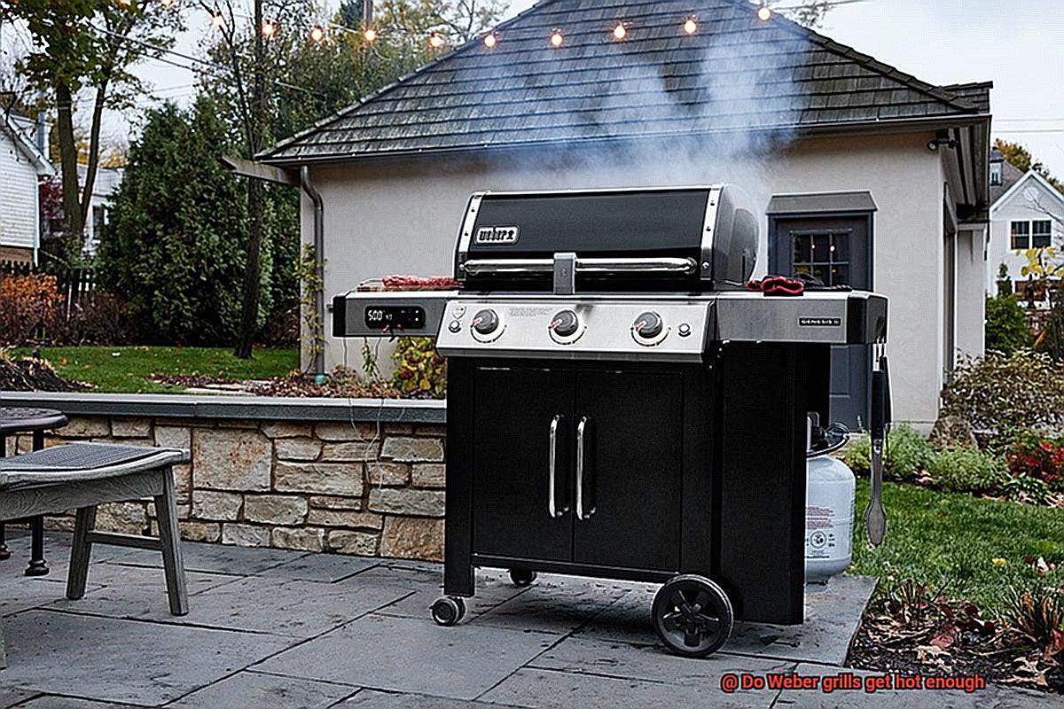 Do Weber grills get hot enough-2