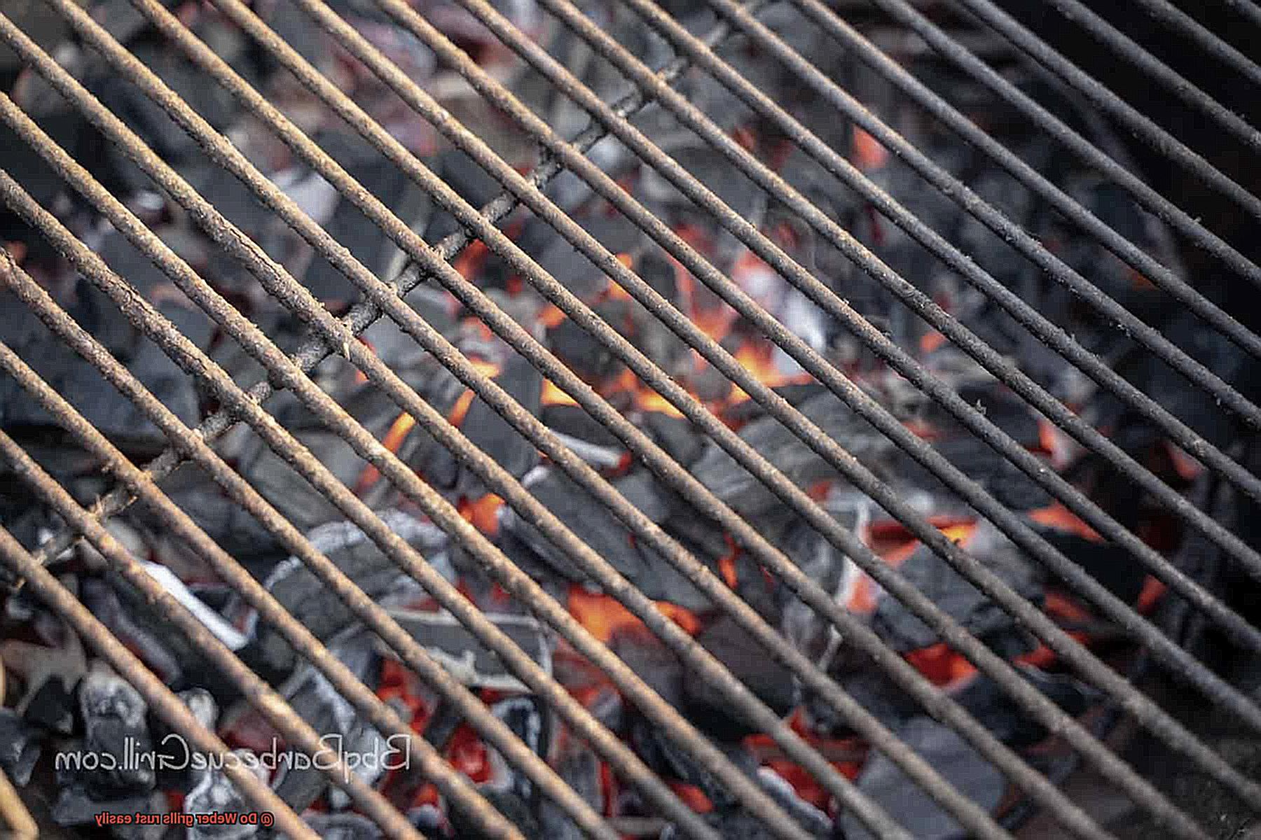 Do Weber grills rust easily-6