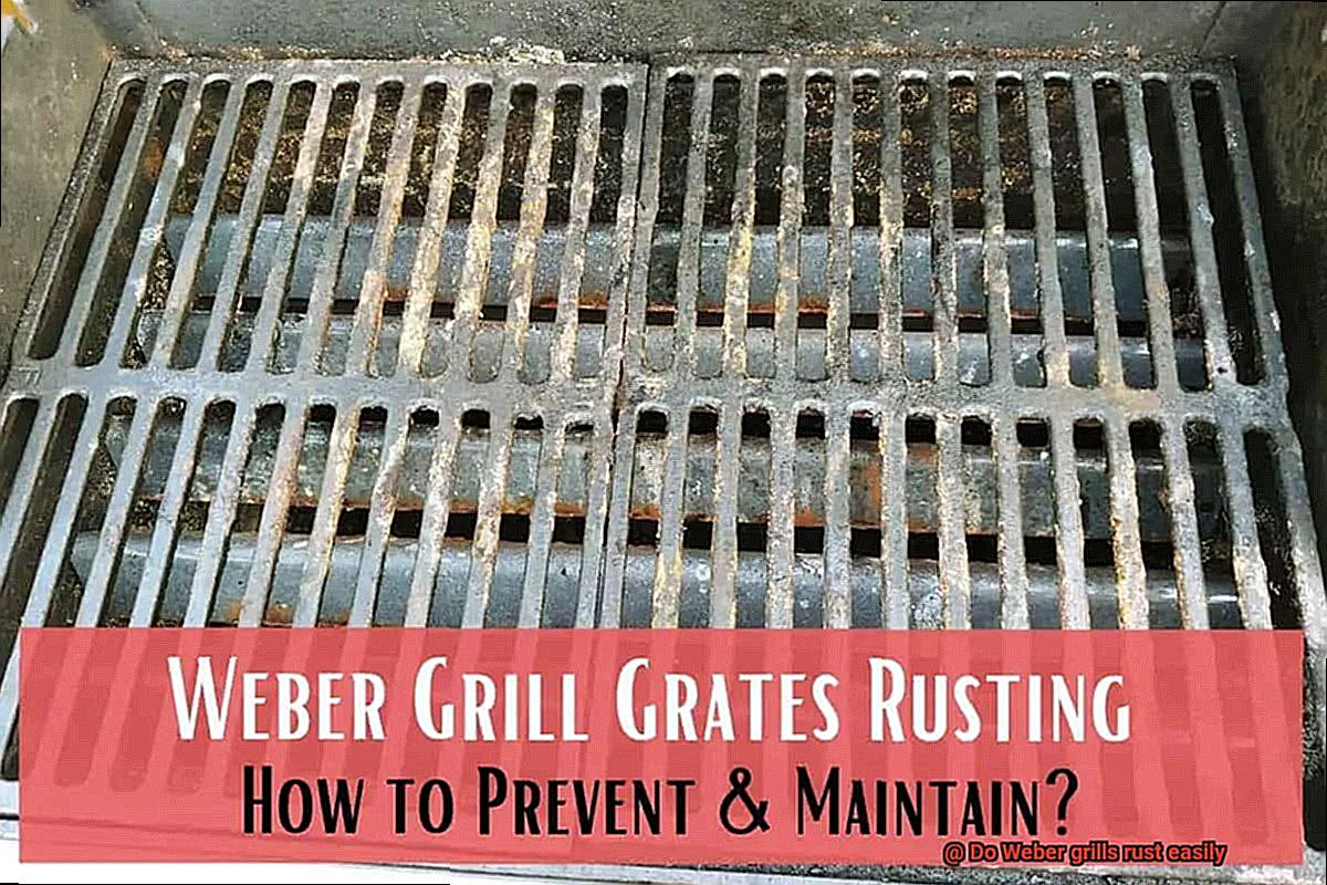 Do Weber grills rust easily-7