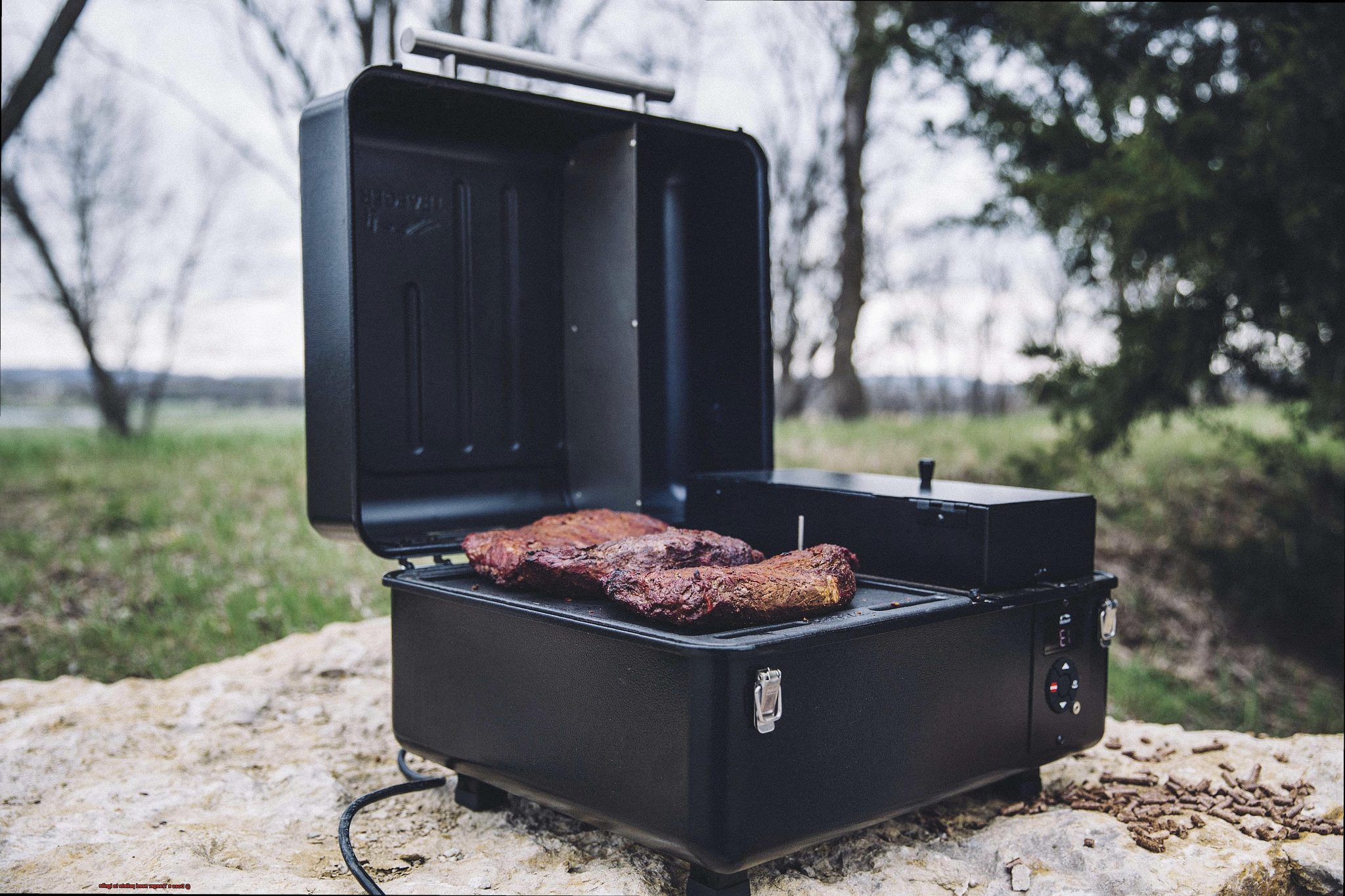 Does a Traeger need pellets to ignite? Pastime Bar And Grill