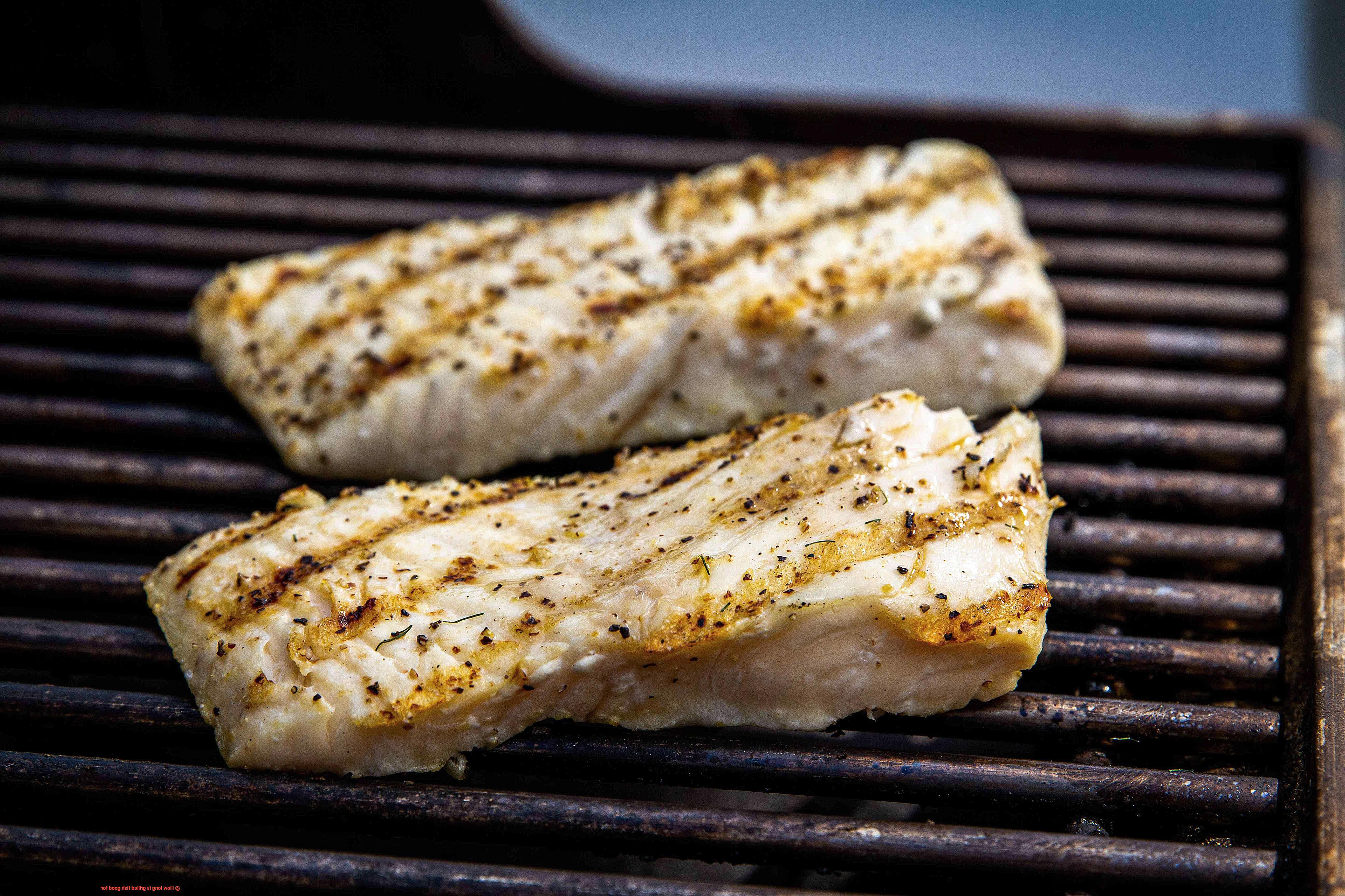How long is grilled fish good for-3