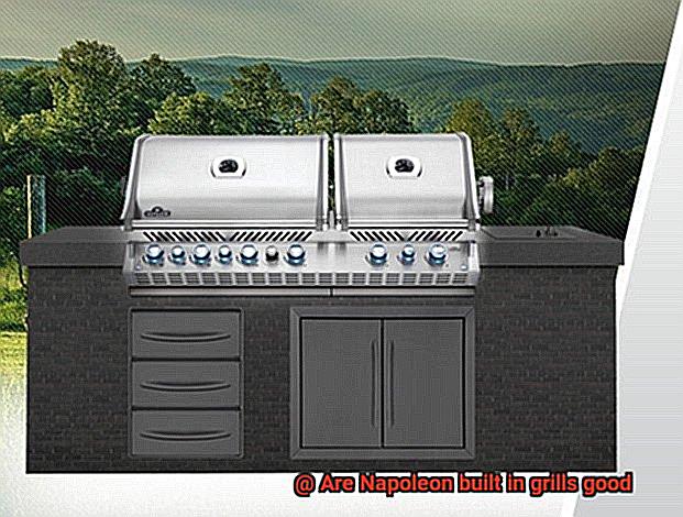 Are Napoleon built in grills good-3