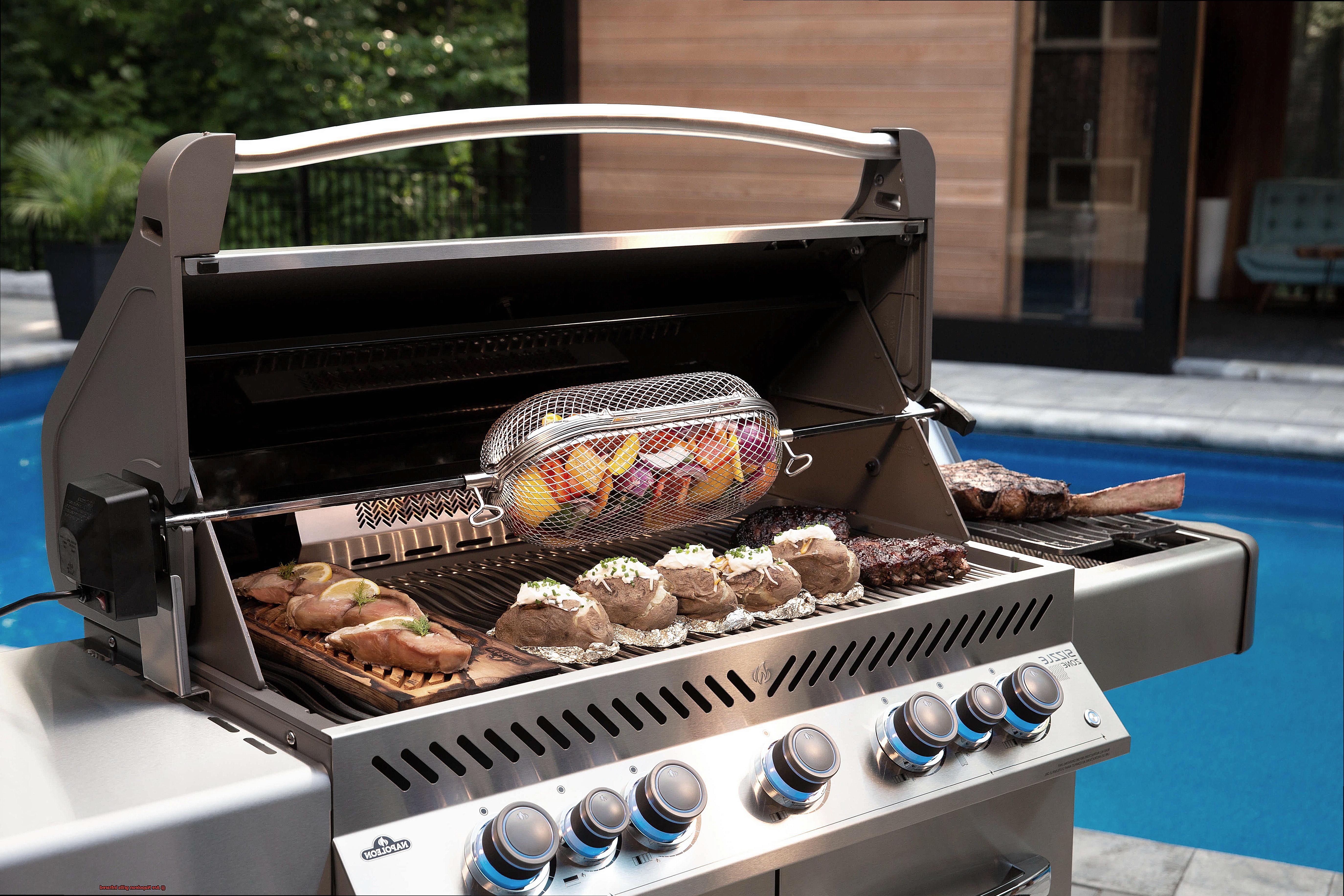 Are Napoleon grills infrared-6