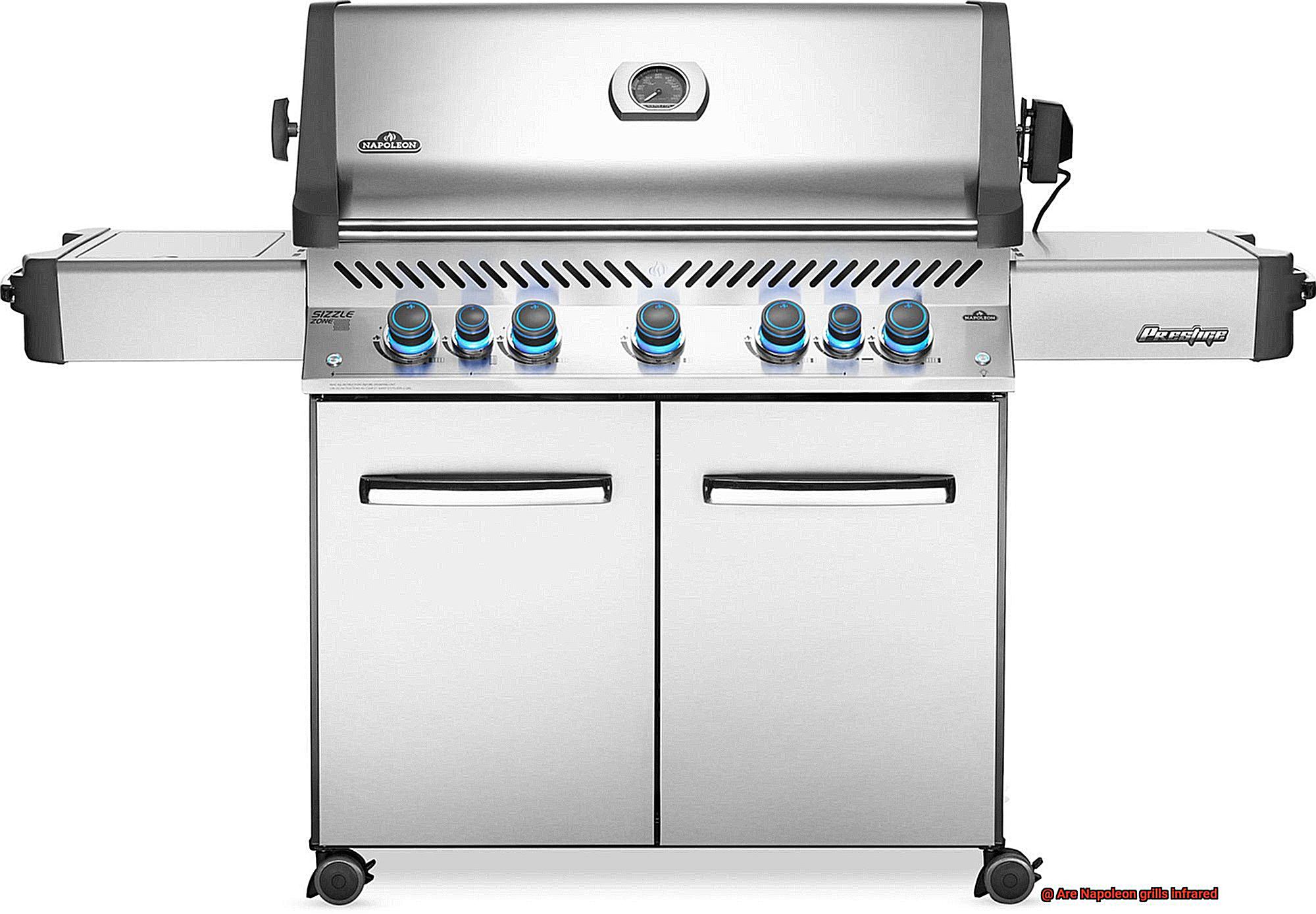 Are Napoleon grills infrared-3