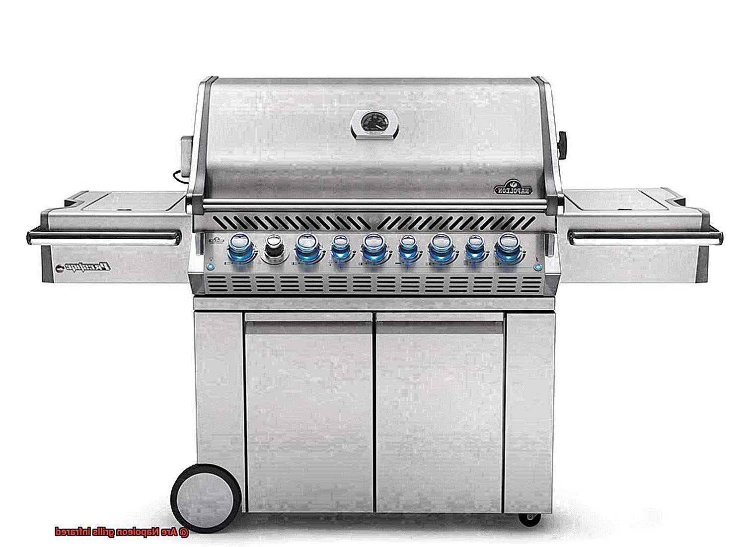 Are Napoleon grills infrared-4