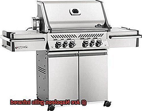 Are Napoleon grills infrared-2