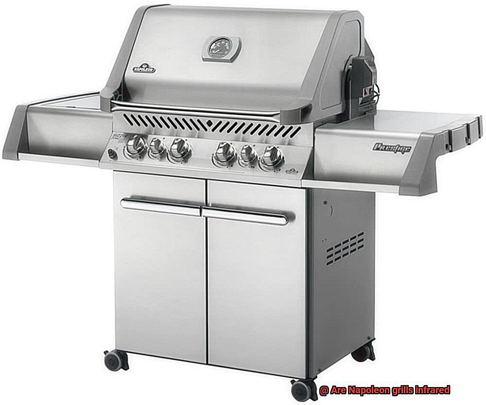Are Napoleon grills infrared-5
