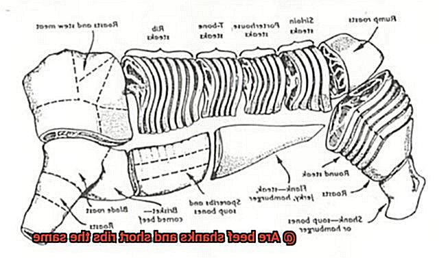 Are beef shanks and short ribs the same-6