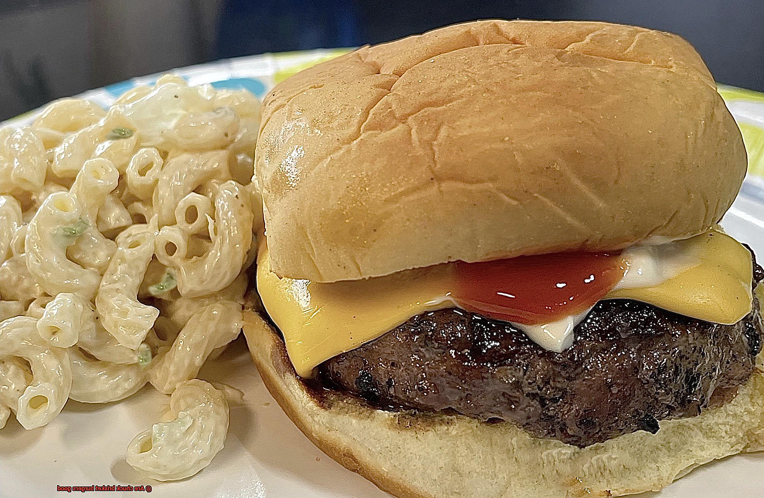 Are chuck brisket burgers good-7