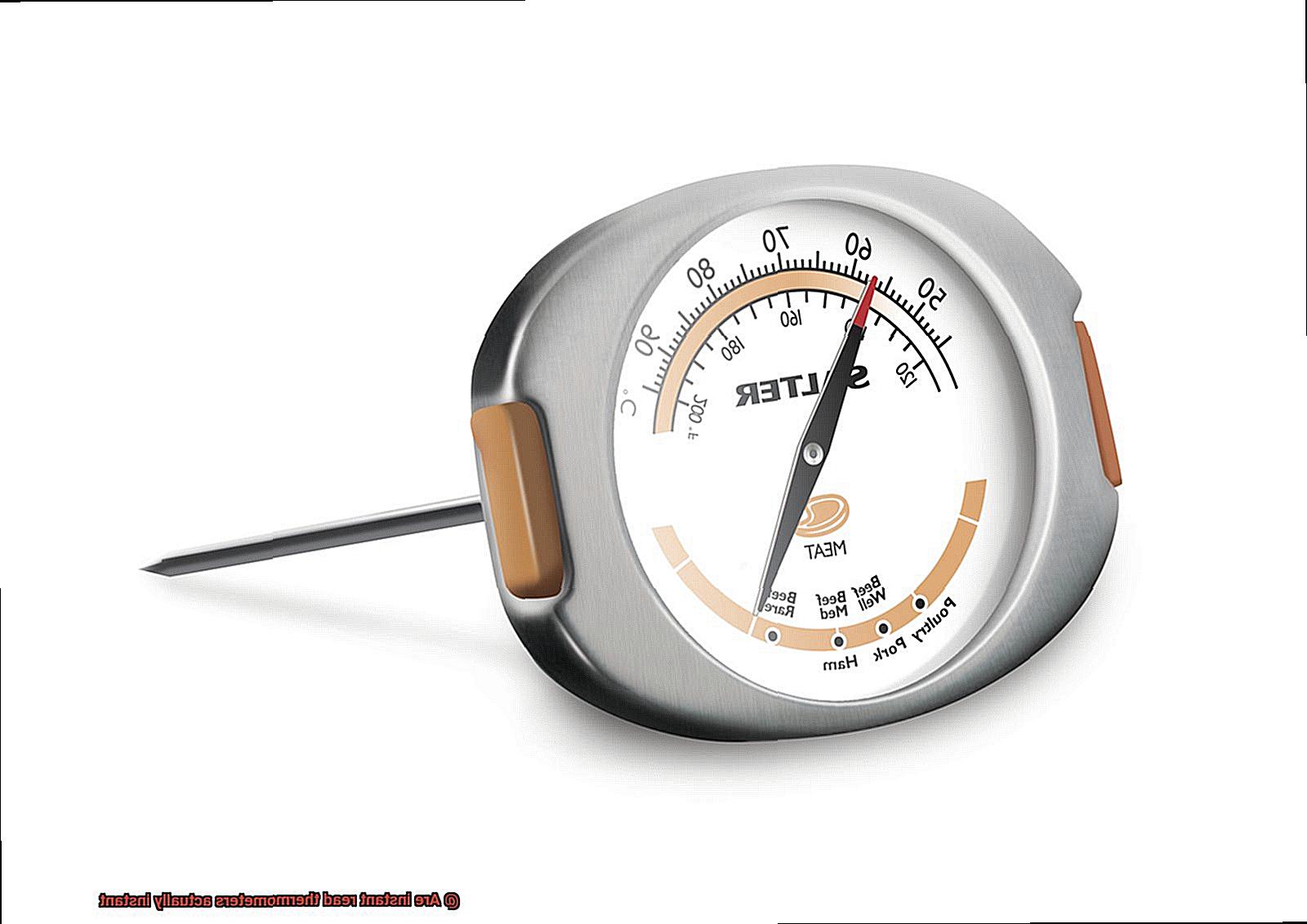 Are instant read thermometers actually instant-2