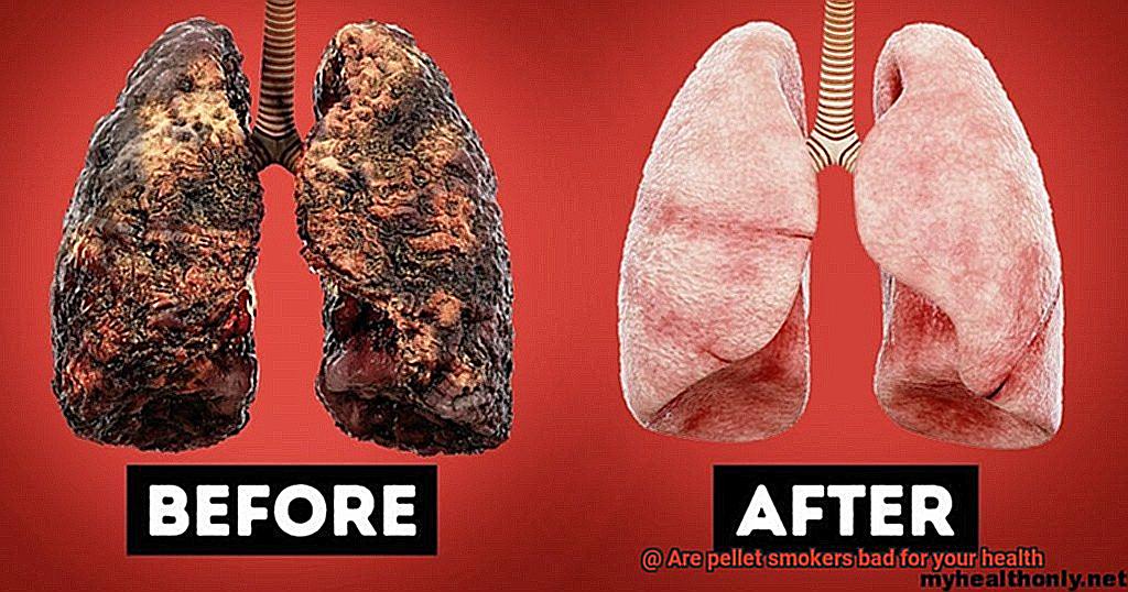 Are pellet smokers bad for your health-2