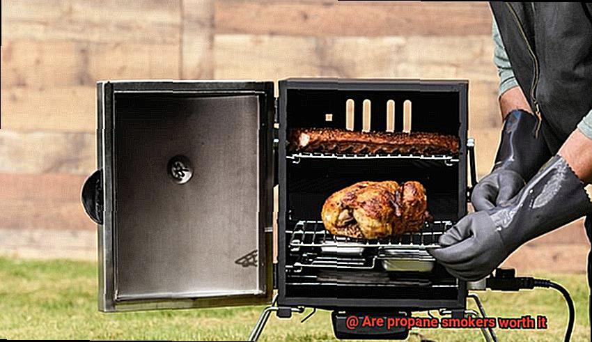 Are propane smokers worth it-3
