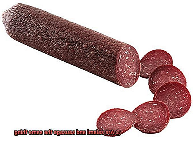 Are salami and sausage the same thing-6