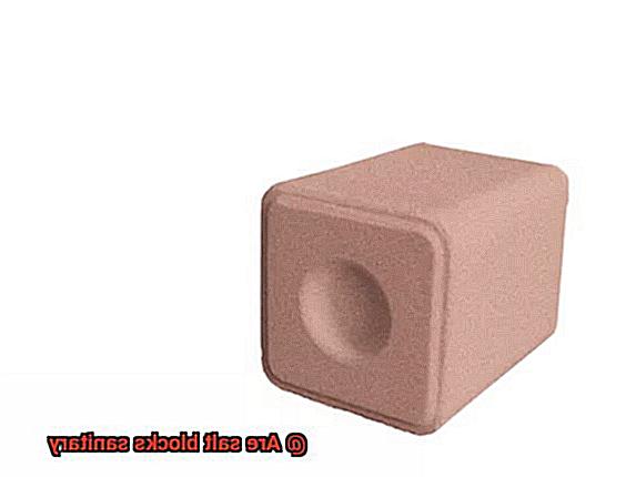 Are salt blocks sanitary-2
