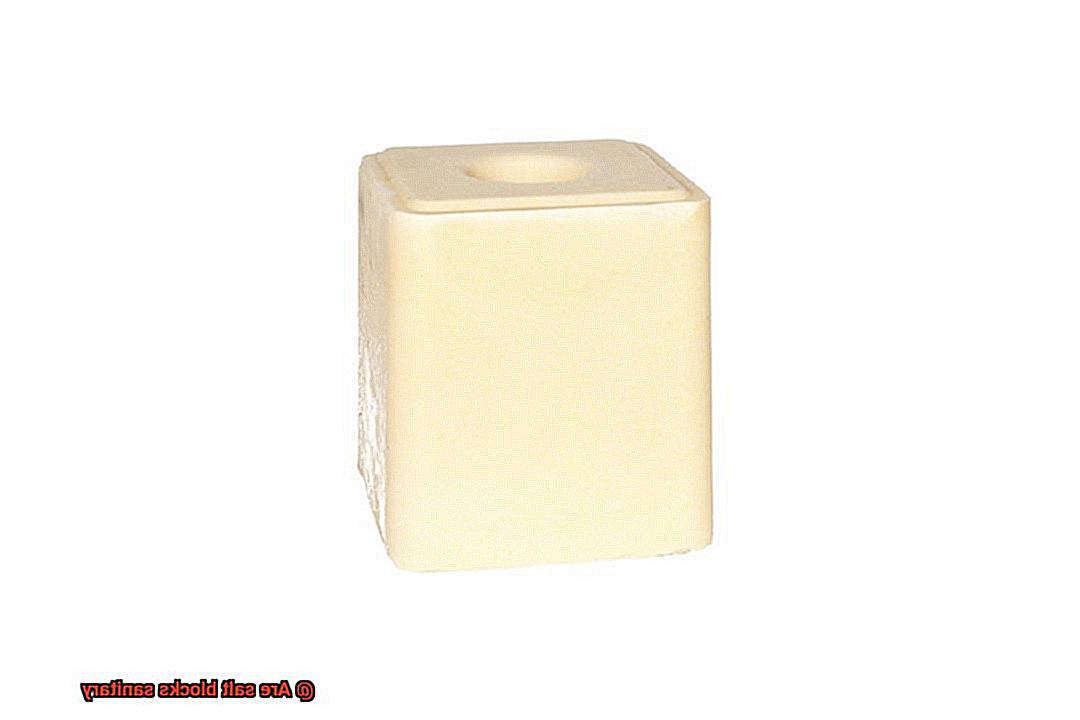 Are salt blocks sanitary-3