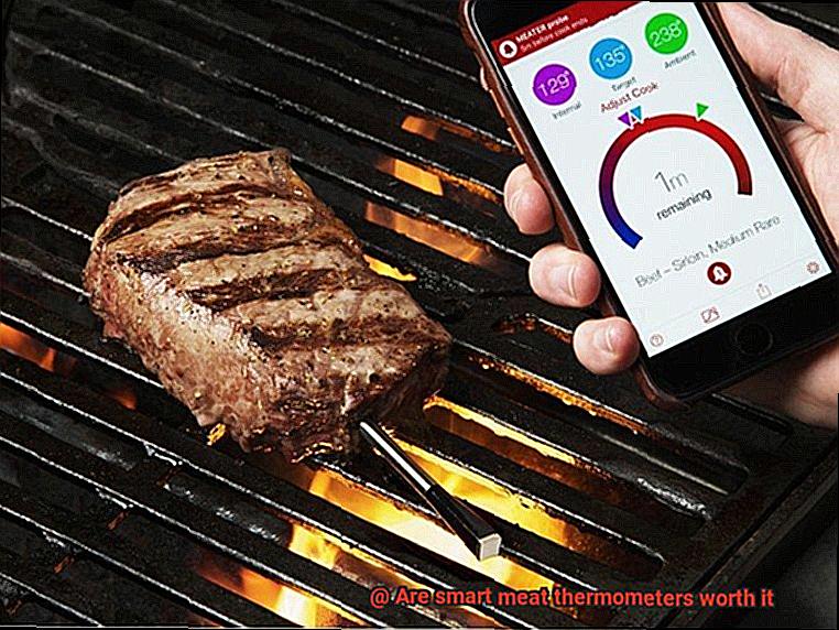 Are smart meat thermometers worth it-2