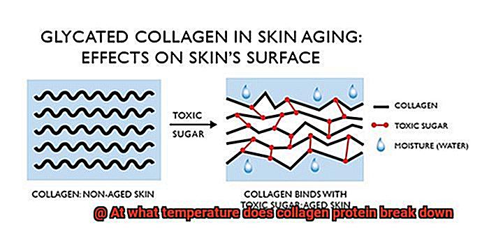 At what temperature does collagen protein break down-5