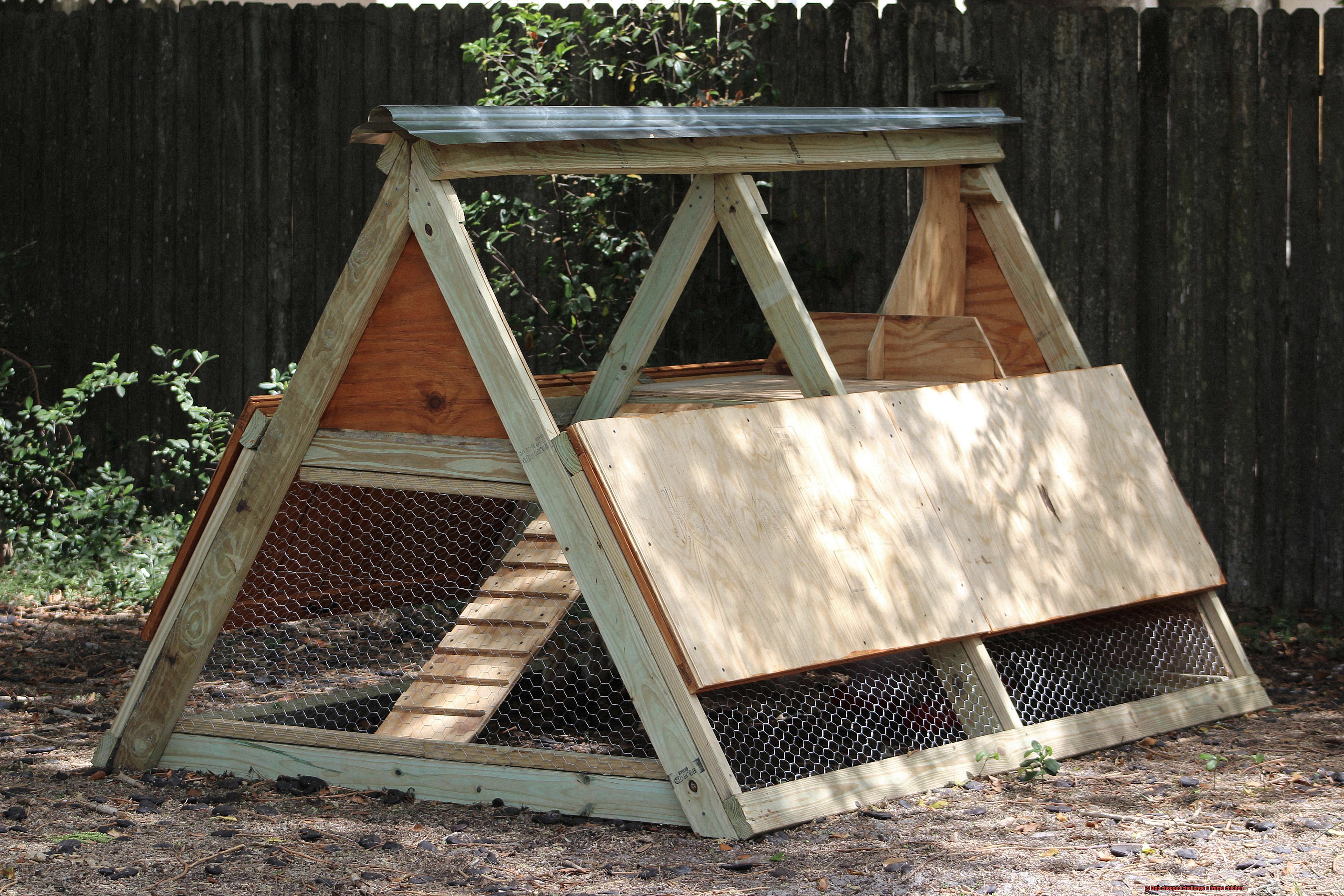 Bgb chopped challenge a frame chicken-3