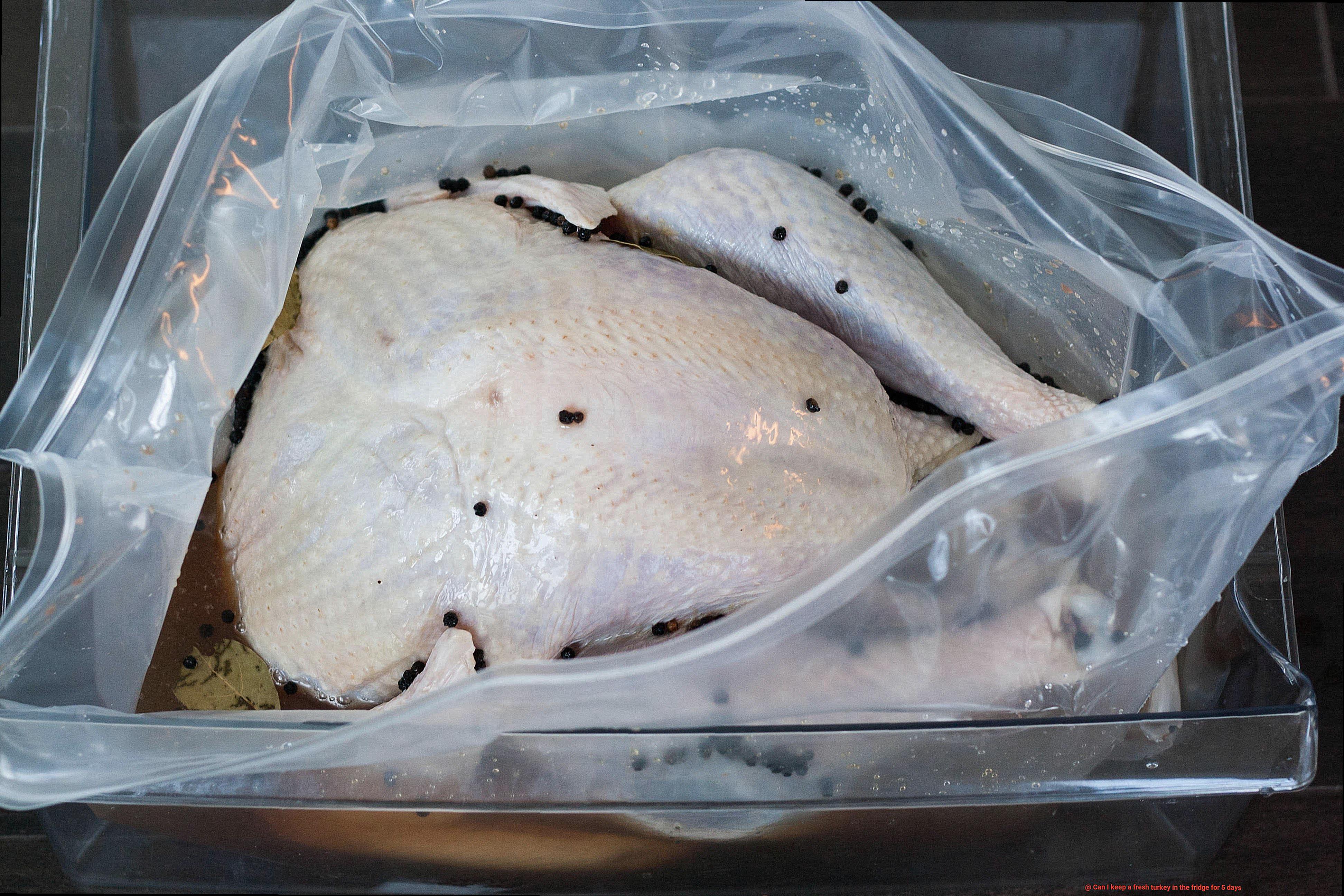 Can I keep a fresh turkey in the fridge for 5 days-11