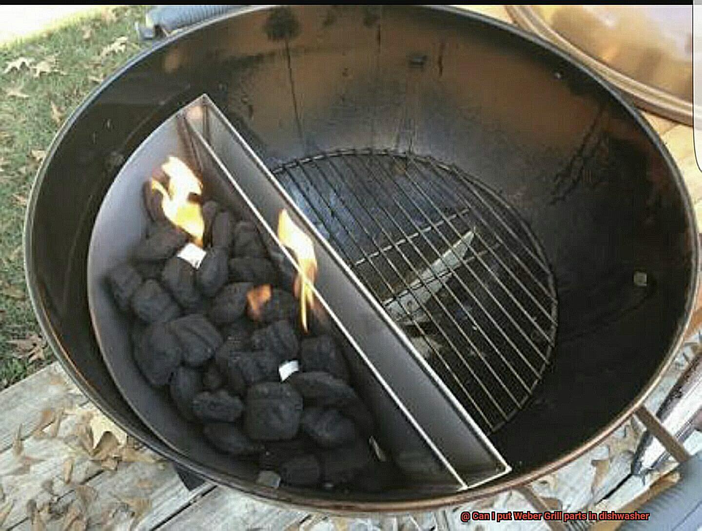 Can I put Weber Grill parts in dishwasher-5