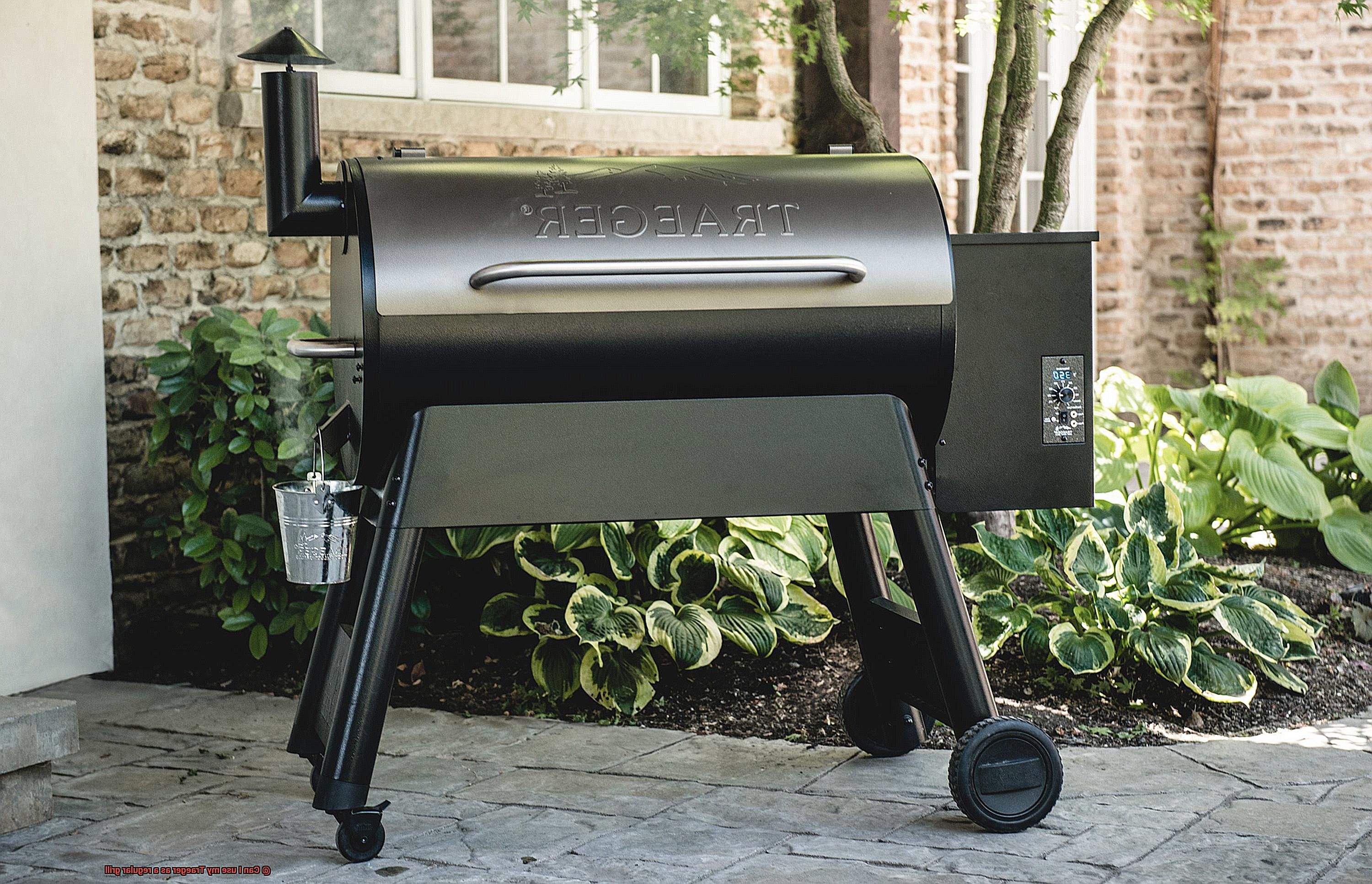 Can I use my Traeger as a regular grill -6