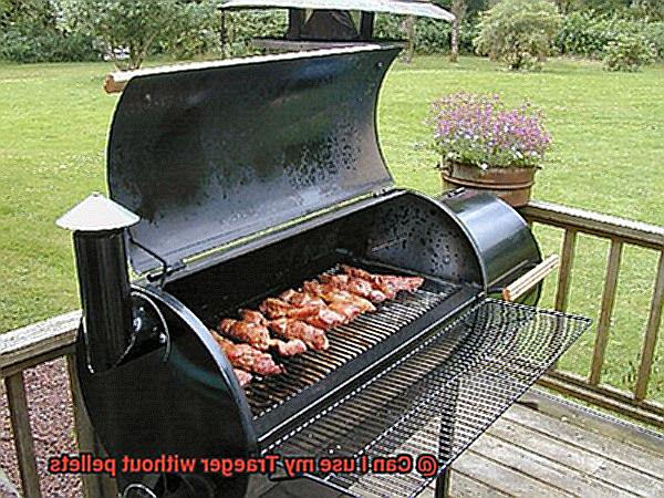 Can I use my Traeger without pellets-3
