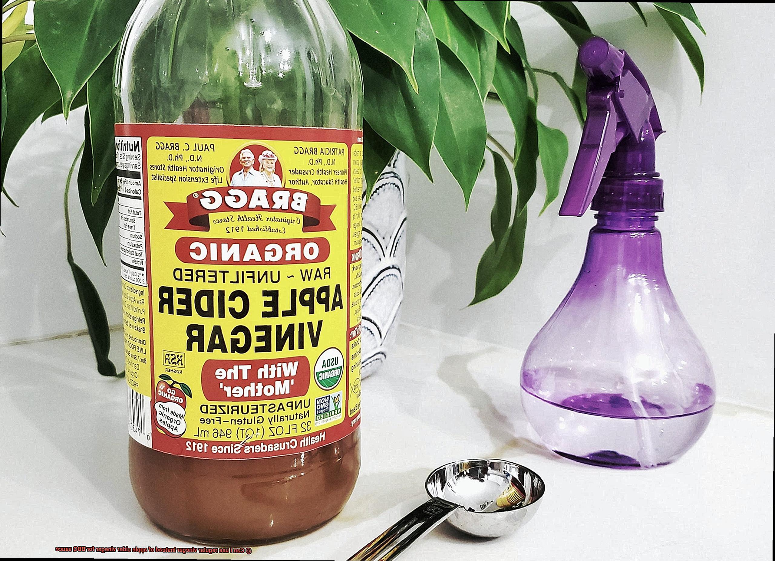 Can I use regular vinegar instead of apple cider vinegar for BBQ sauce-2