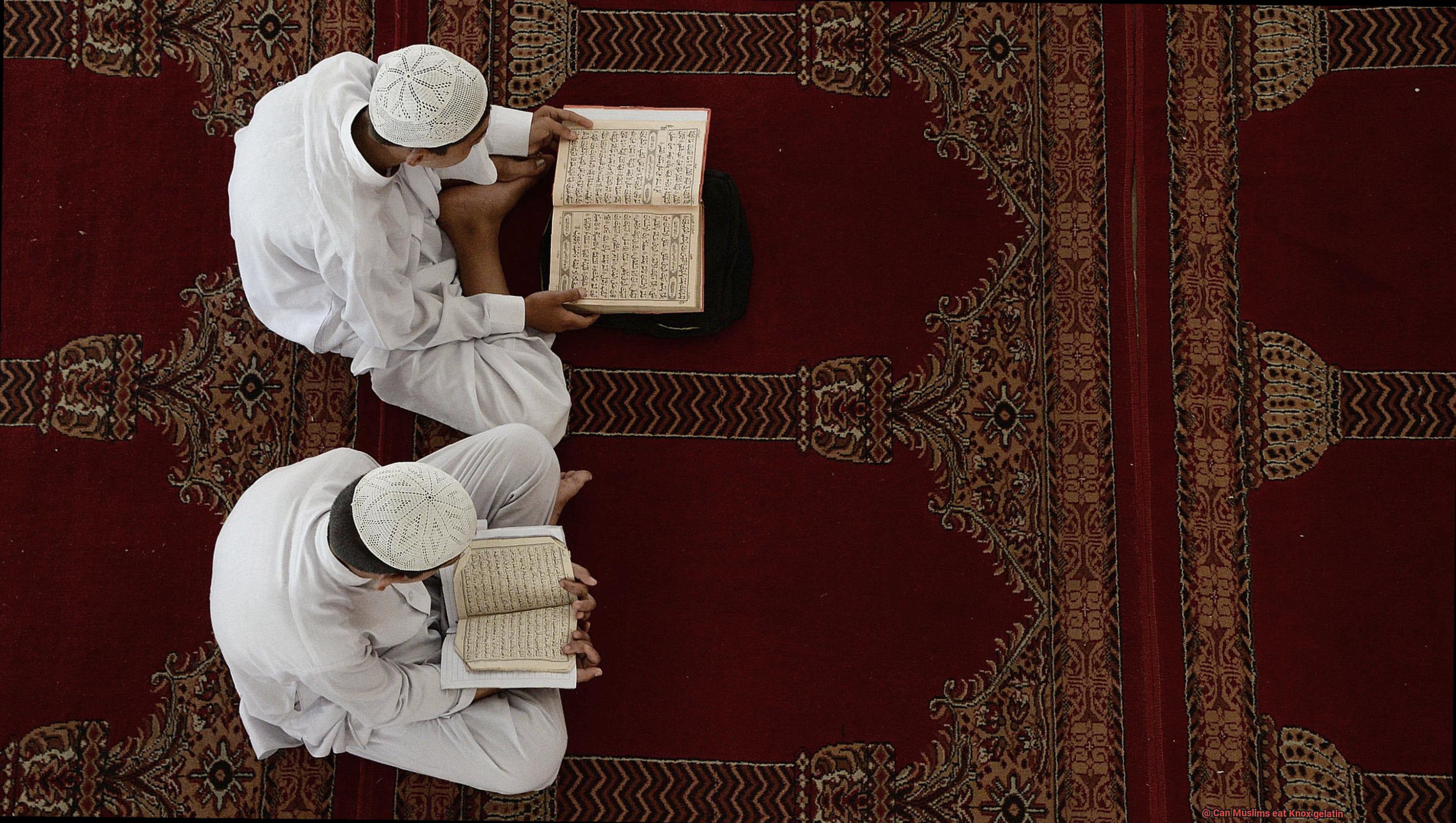 Can Muslims eat Knox gelatin-3