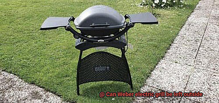 Can Weber electric grill be left outside-4