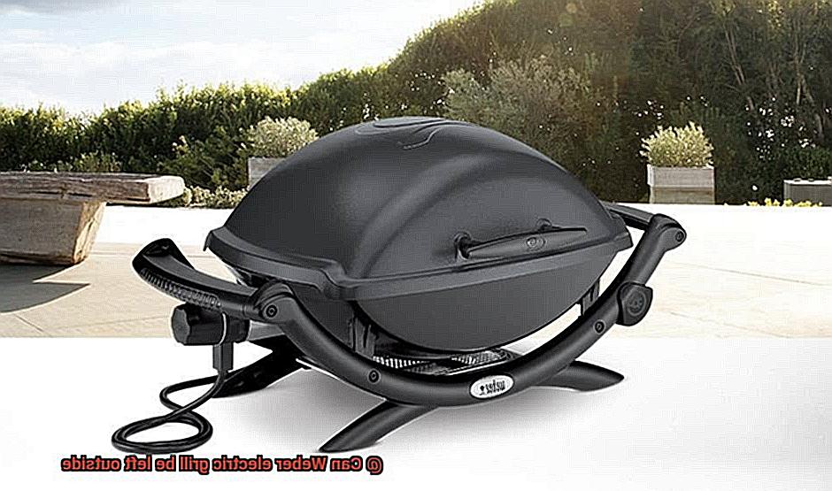 Can Weber electric grill be left outside-3